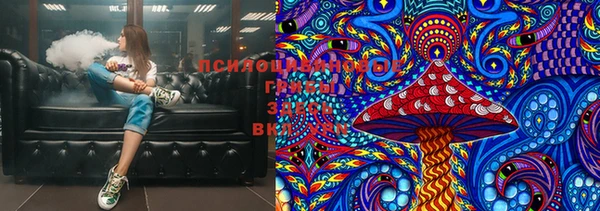 МДПВ Алексин
