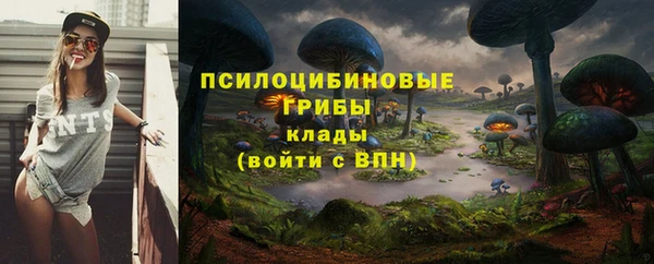 МДПВ Алексин