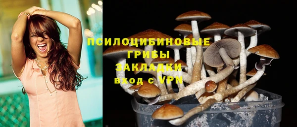 амфетамин Алексеевка