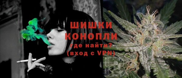 ешки Алзамай